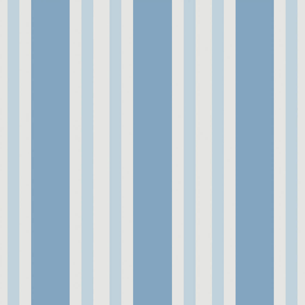 Polo Stripe