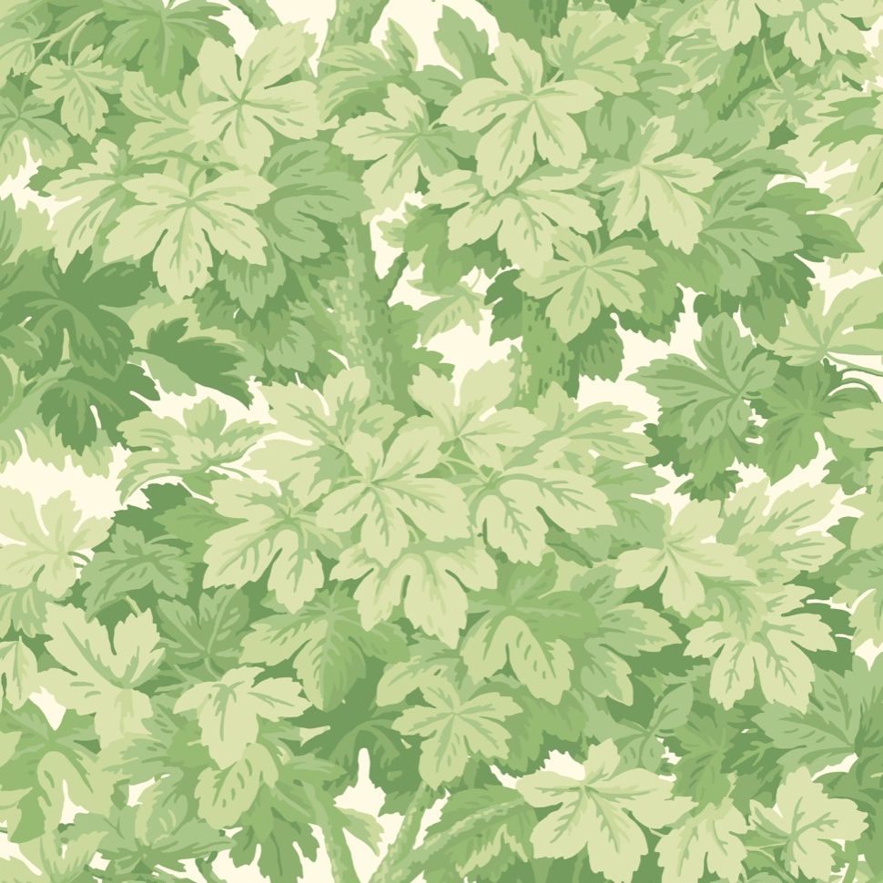 Great Vine