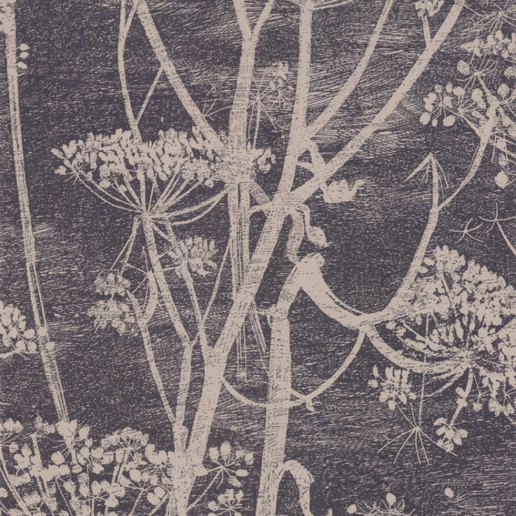 Cow Parsley