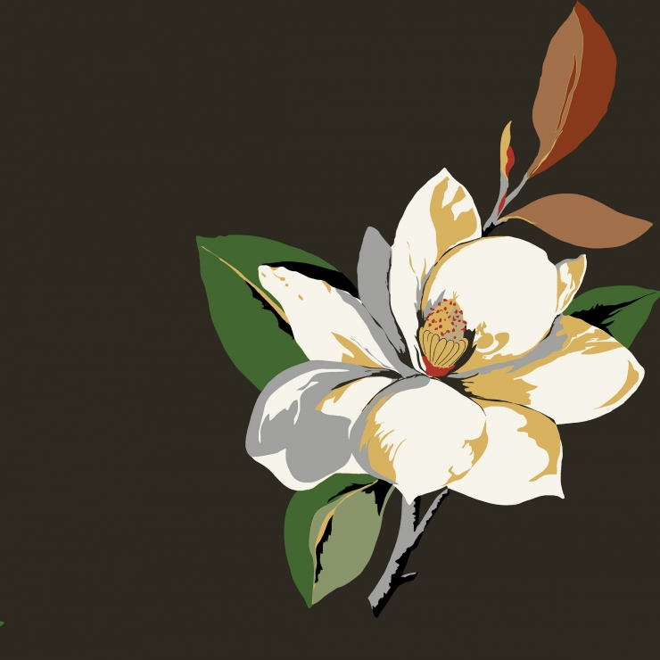 Magnolia