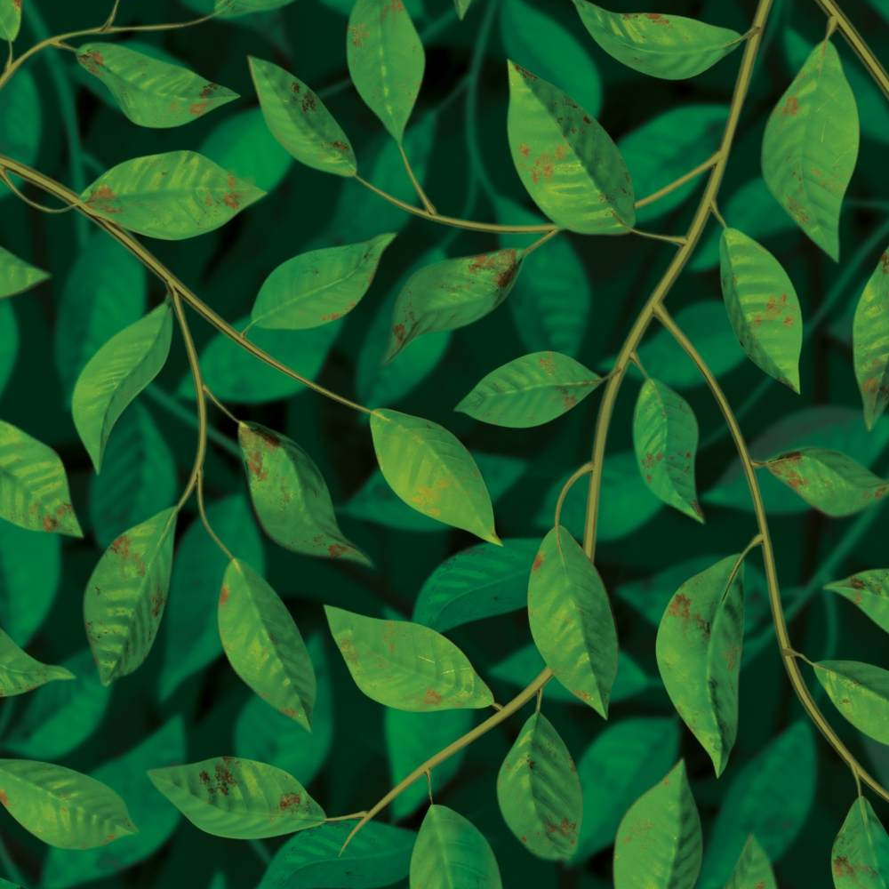A Million Leaves Supersized
