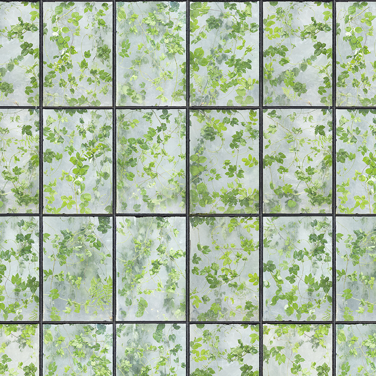 Greenhouse