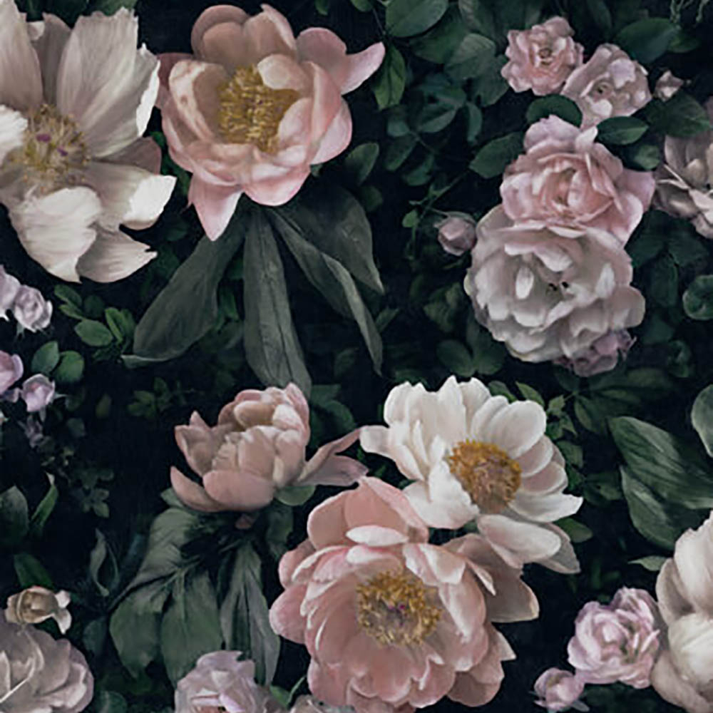 New Dawn Rose