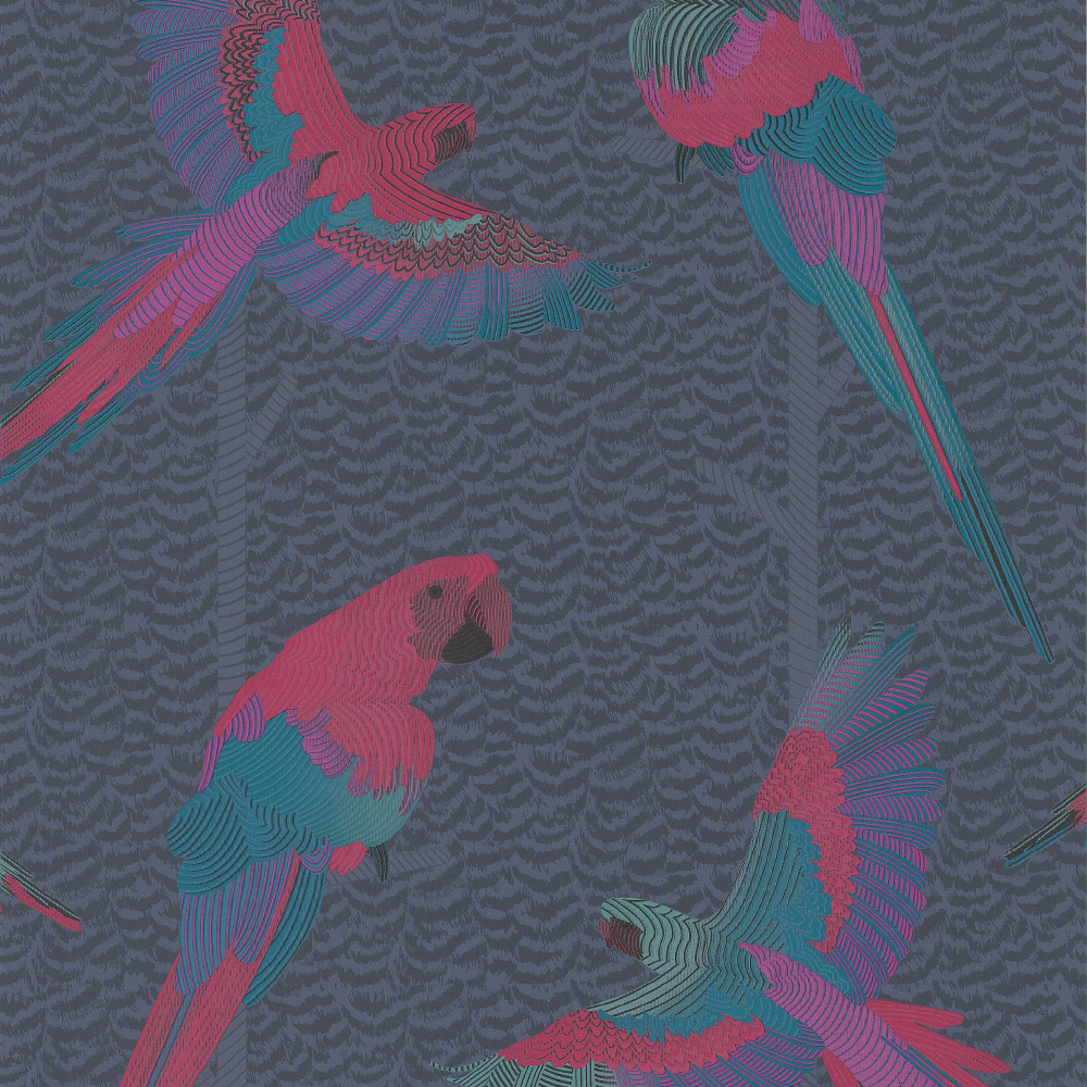 Arini