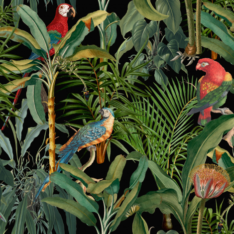 265672 parrot macaw bird and beak hd, Xiaomi Poco X2 wallpaper 1080p,  1080x2400 - Rare Gallery HD Wallpapers