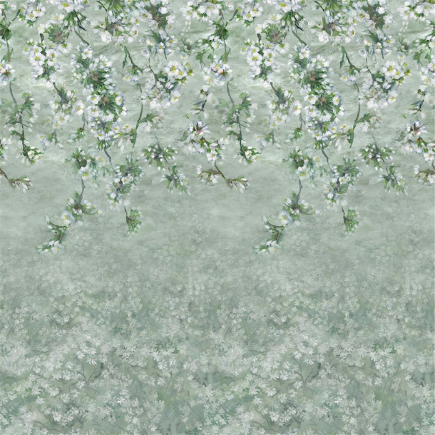 Assam blossom