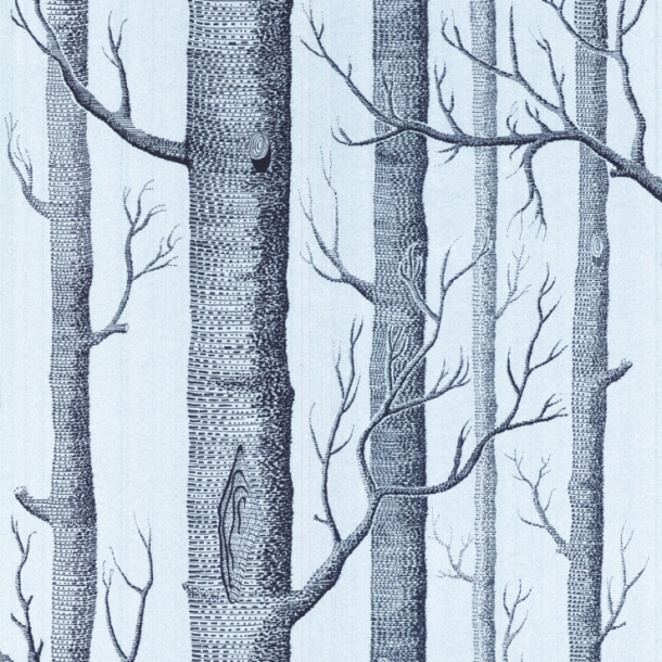 Woods