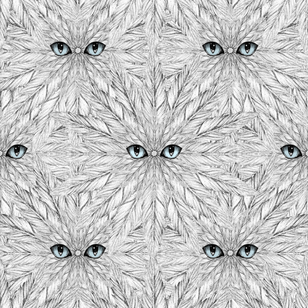 Peeping Feathers
