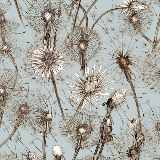 Dandelions