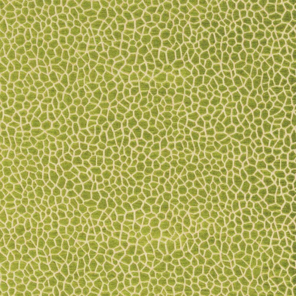 Kairi Fabric
