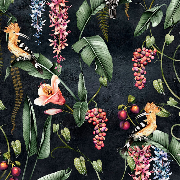 HOOPOE GARDEN