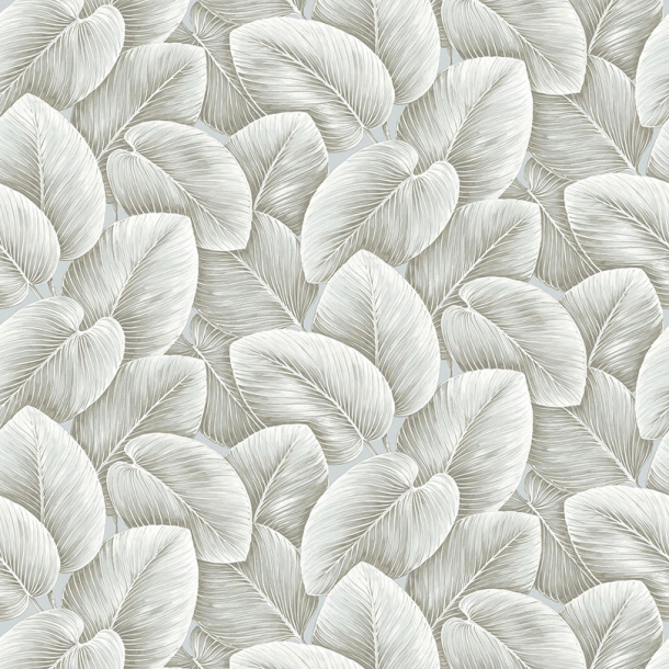 SAVANNAH GRASS LS62007M