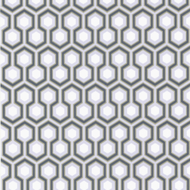 Hicks' Hexagon