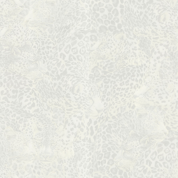 LEOPARDO INCOGNITO