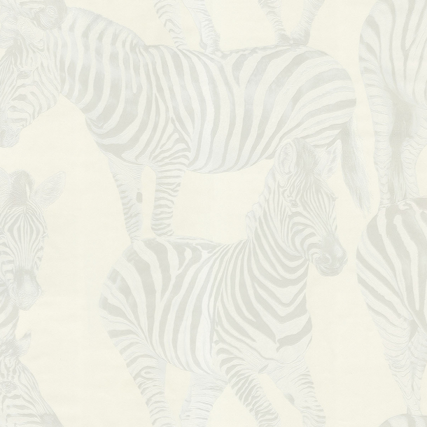 ZEBRA ROMANCE