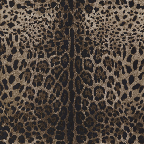LEOPARDO