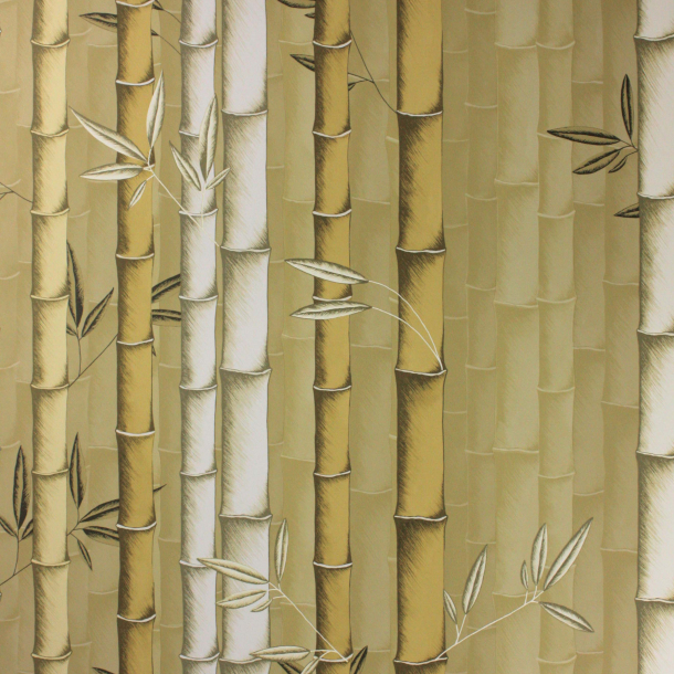 Bamboo