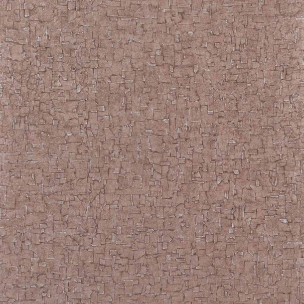 Cambium