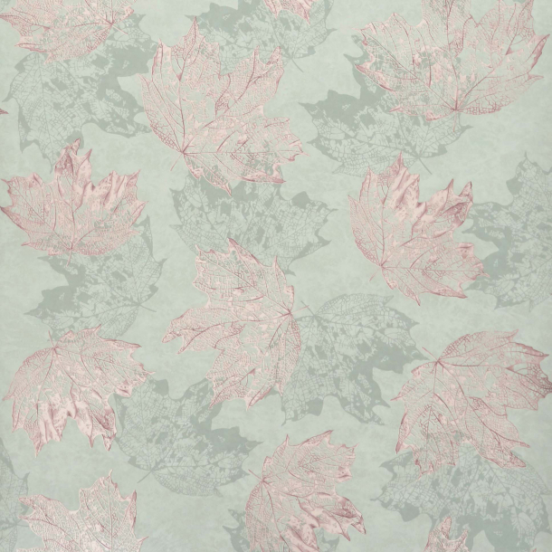 Sycamore