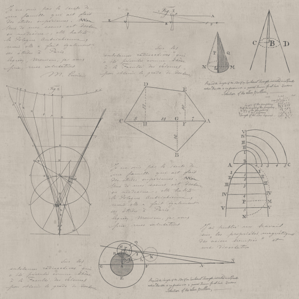 Newton Geometry