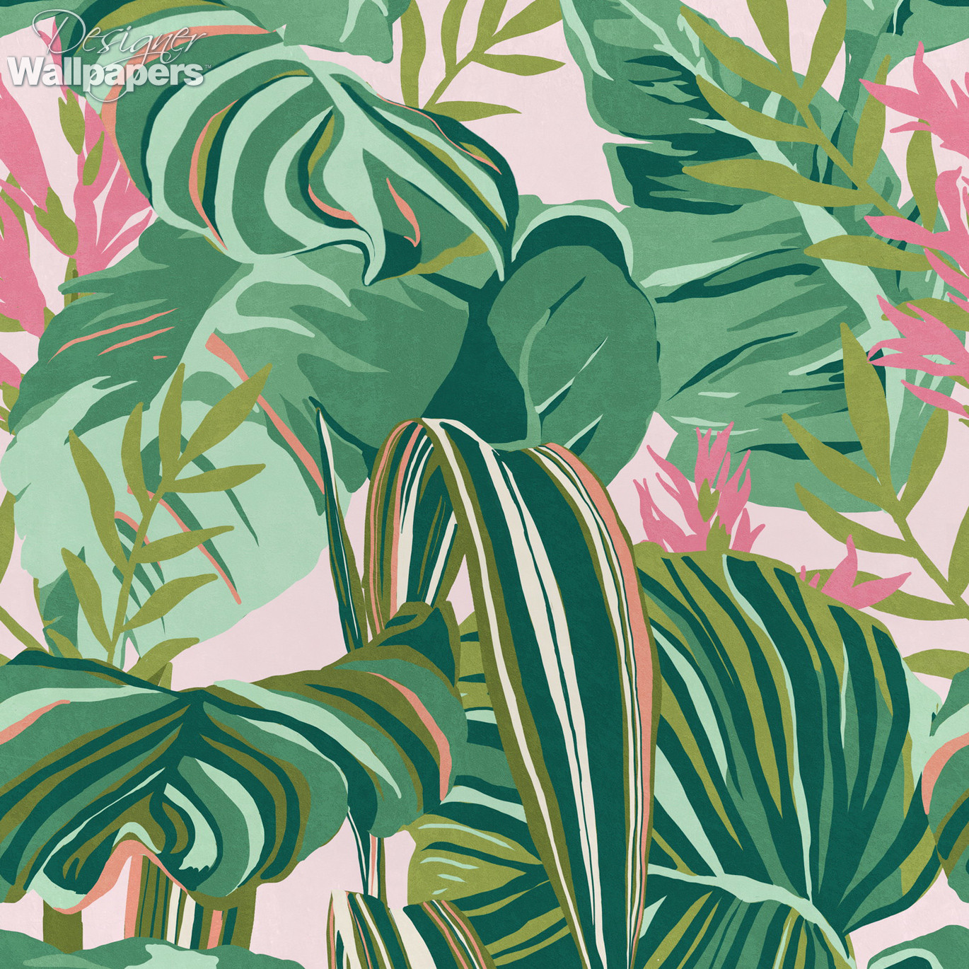 Sansevie Tropical Leaf Wallpaper Dusky Pink  Tropical Wallpaper