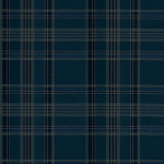 Ralph Lauren Deerpath trail plaid PRL5020/04 Indigo and red