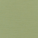 Designers Guild Brera grasscloth PDG1120/15  peridot