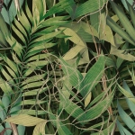  EXOTIC GARDEN WP20515 EXOTIC GARDEN Wallpaper