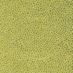 Matthew Williamson Kairi Fabric F6632-01 Lime