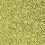 Osborne & Little Kairi Fabric
