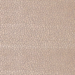 Osborne & Little Kairi Fabric F6632-02 Stone