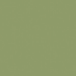 Missoni Home Canvas 10161 Green