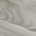 Armani Casa Tennyson  9960 Warm grey with taupe undertones.