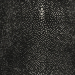 Jean Paul Gaultier PRECIEUX 3326-03 A bold, timeless black that exudes luxury and pairs well with vario...