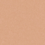 KT Exclusive Canvas KT10139 