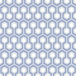 Cole and Son Hicks' Hexagon 66/8054 In cool greys with cornflower blue.