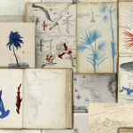 Mind The Gap  SEAMAN’S JOURNAL  WP20562 