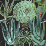  Succulentus - Green Wallpaper WP20167