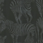 Dolce & Gabbana ZEBRA ROMANCE TCW007TCAHOUZ018 Deep charcoal and muted black stripes on a dark background