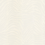 Dolce & Gabbana ZEBRA DOLCE TCW007TCAI9UZ026 Classic ivory background with bold black zebra stripes.
