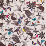 Osborne & Little Bird Song W6596-01 Bright and beautiful multi coloured birds and butterflies, black an...
