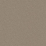Matthew Williamson Kairi W6651-06 Metallic golden silver with taupe.