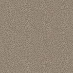 Matthew Williamson Kairi W6651-06 Metallic golden silver with taupe.