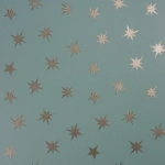 Matthew Williamson Sirius W7144-08 Metallic silver and charcoal on an aqua background
