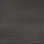 Osborne & Little Hexagon Trellis W7352-07 Shadowed trellis in metallic gilver and black on charcoal background