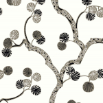 Today Interiors ALLEGRA WH41018 Matte crisp white background with black and grey accents for clean ...