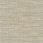 Today Interiors Shades of White Forever WS71205 