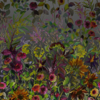 Designers Guild Indian sunflower graphite