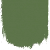 Designers Guild London plane tree  no 175  perfect paint 