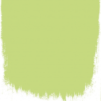 Designers Guild Lime tree no 96 perfect paint
